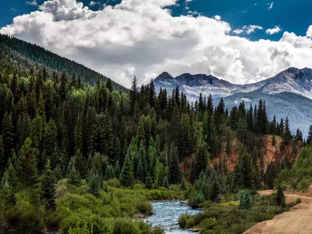 Участок в Алтай, Чемальский район, Элекмонарское с/пос, Седьмое Небо ... - Фото 1