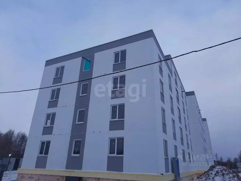 3-к кв. Псковская область, Остров ул. Калинина, 76 (67.3 м) - Фото 1