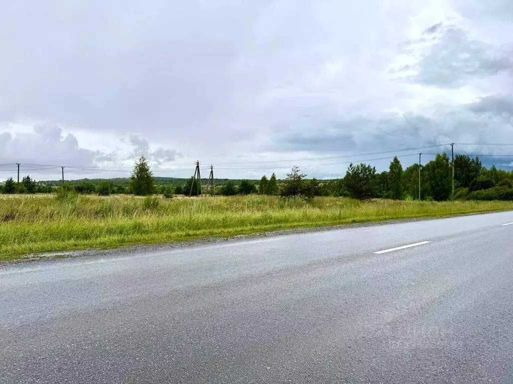 Участок в Татарстан, Пестречинский район, Богородское с/пос  (10.0 ... - Фото 2