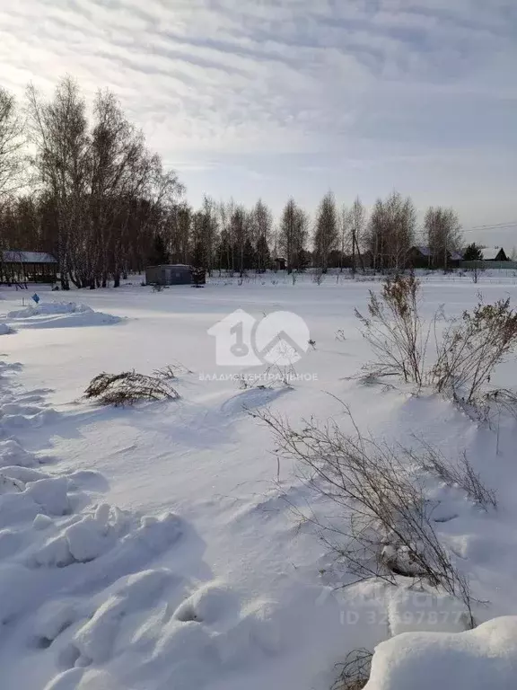 Участок в Новосибирская область, Искитимский район, Быстровский ... - Фото 2