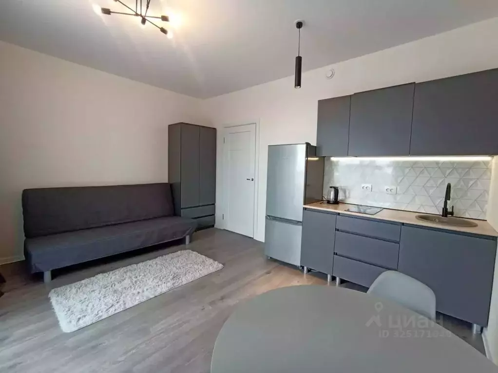 Студия Ленинградская область, Всеволожский район, Свердловское ... - Фото 1