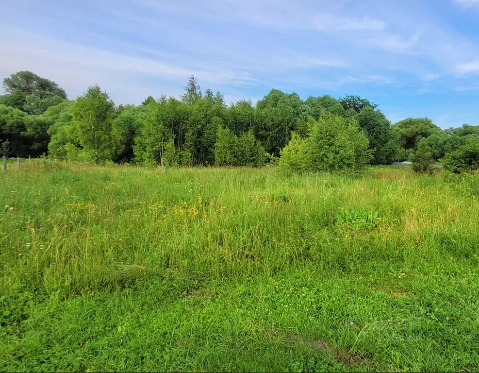 Участок в Тульская область, Заокский район, Страховское с/пос, д. ... - Фото 2