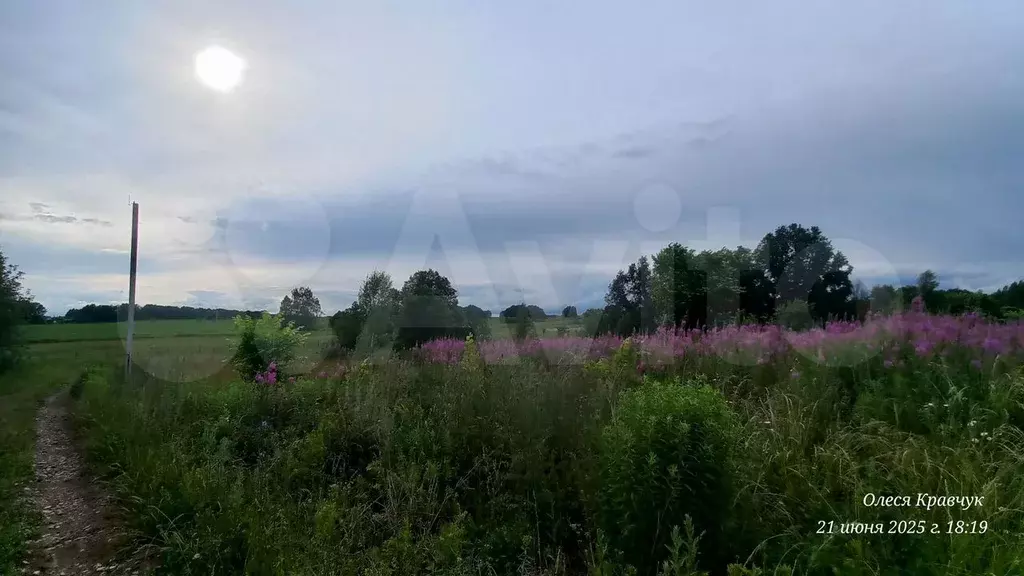 Участок 12 сот. (СНТ, ДНП) - Фото 0