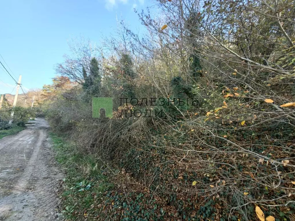 Участок в Краснодарский край, Новороссийск Баклан СНТ, ул. Спортивная ... - Фото 2