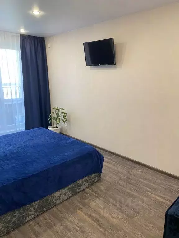 1-к кв. Новосибирская область, Новосибирск ул. Забалуева, 69 (40.0 м) - Фото 1