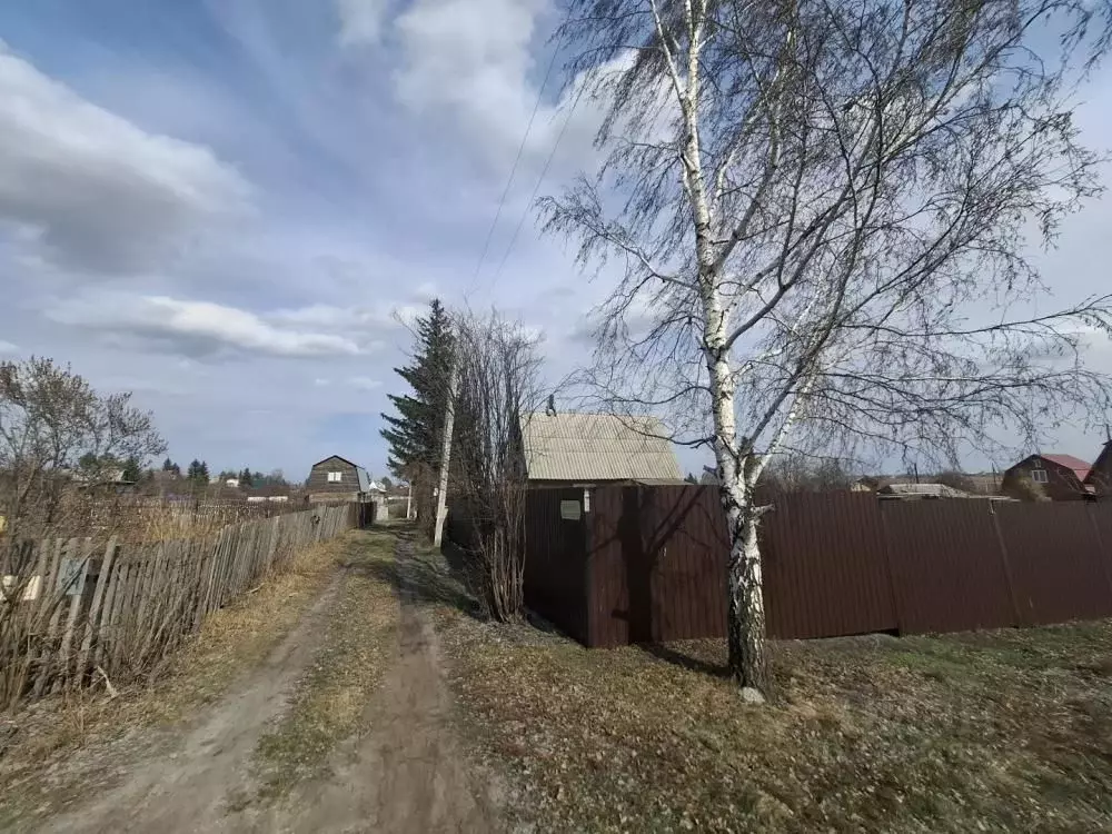 Дом в Омская область, Омск СОСН Элита тер., аллея 4-я (30 м) - Фото 2