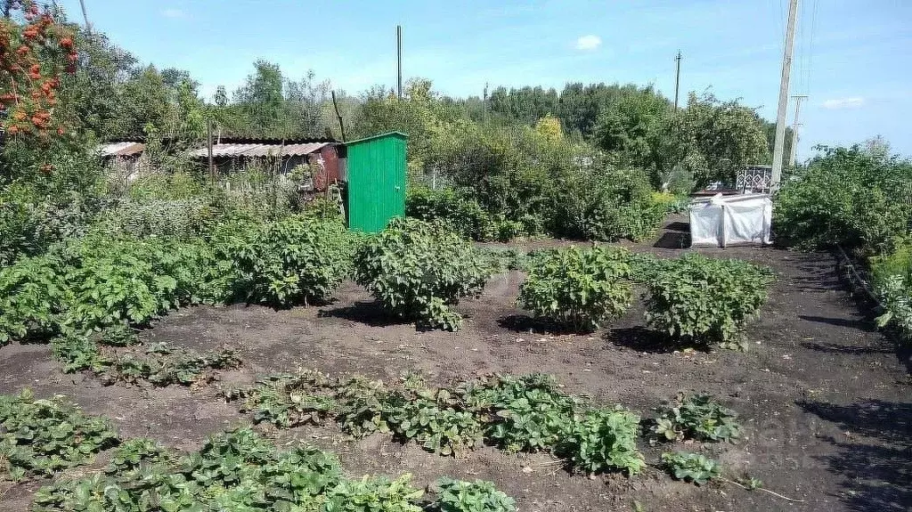 Купить Дом В Кусинском Районе Челябинской Области