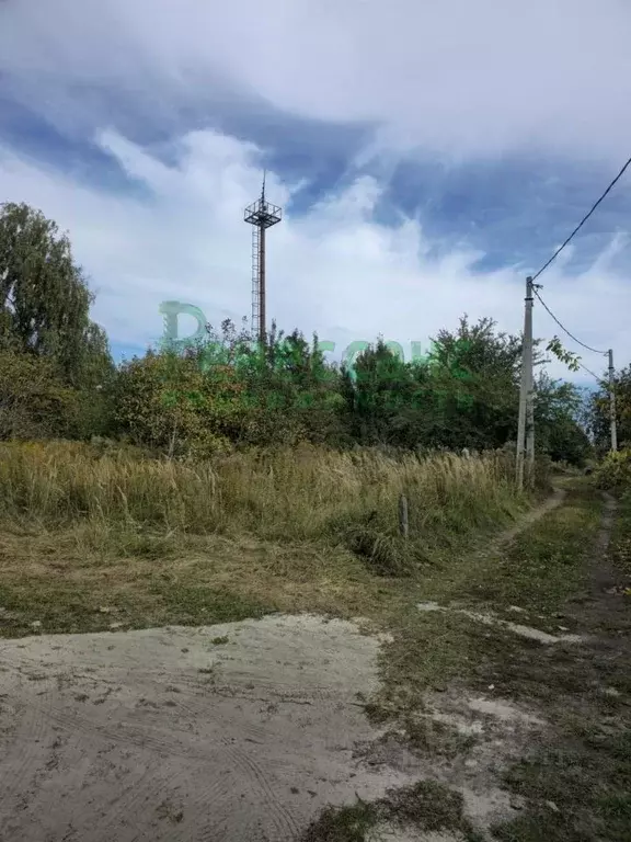 Участок в Брянская область, Брянский район, Добрунское с/пос, Сигнал ... - Фото 2