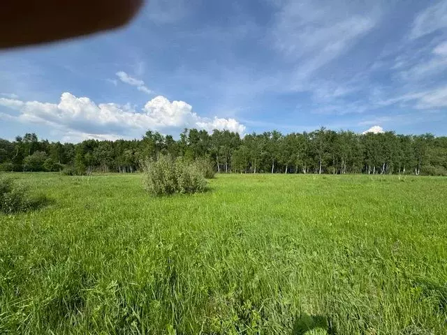 Участок в Московская область, Воскресенск городской округ, д. ... - Фото 2