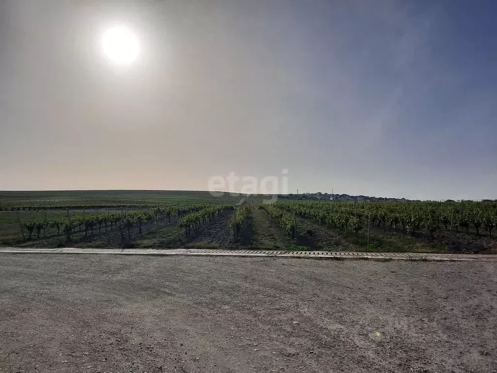 Участок в Краснодарский край, Новороссийск городской округ, с. Мысхако ... - Фото 0