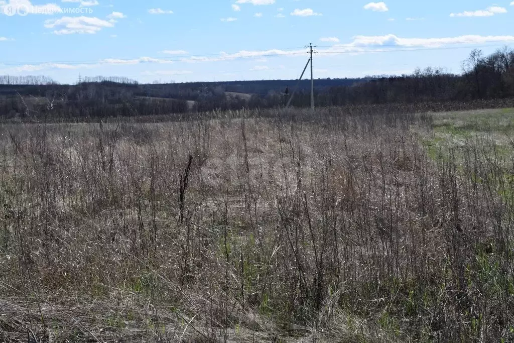 Участок в село Хохлово, Юбилейная улица (15 м) - Фото 2