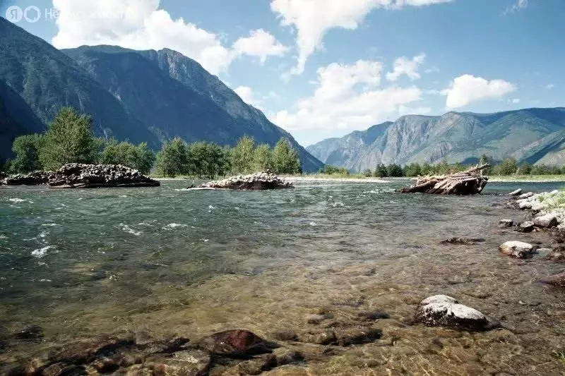 Участок в Улаганский район, село Балыкча (10 м) - Фото 2