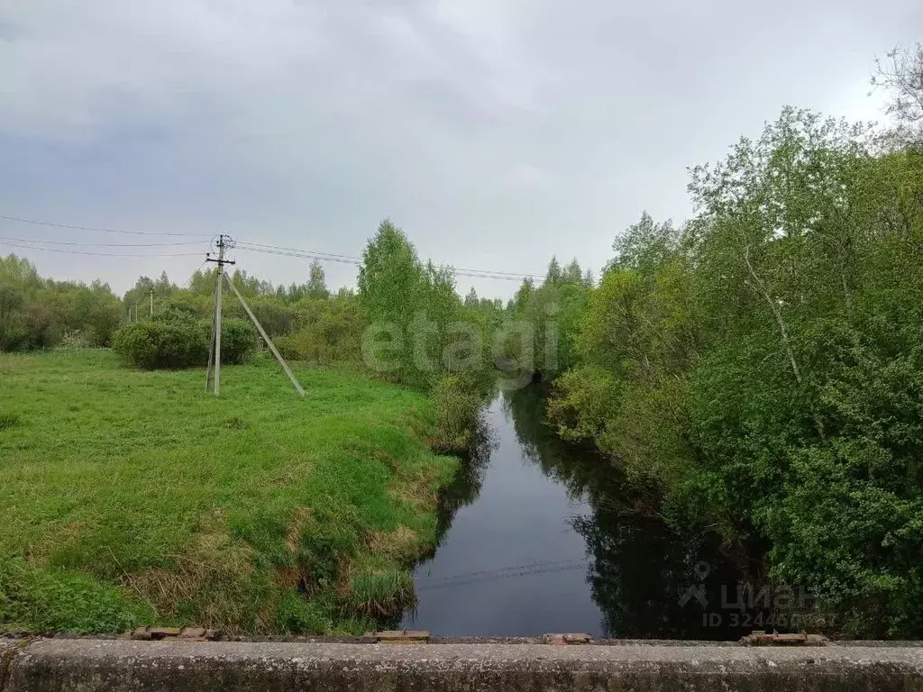 Участок в Ленинградская область, Волховский район, Пашское с/пос, с. ... - Фото 1
