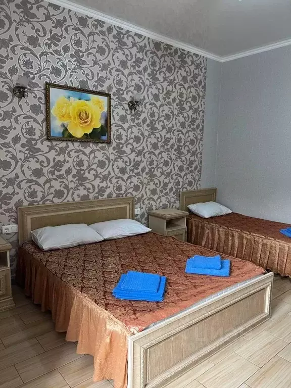 Комната Краснодарский край, Сочи пос. Лоо, ул. Таллинская, 3 (20.0 м) - Фото 0
