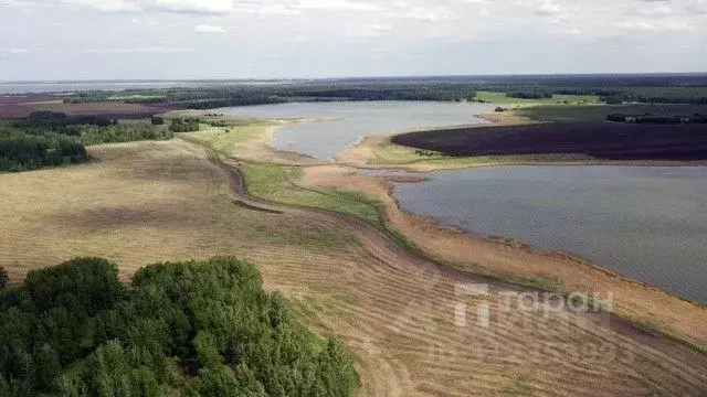 Участок в Челябинская область, Увельский район, с. Хомутинино  (200.0 ... - Фото 0