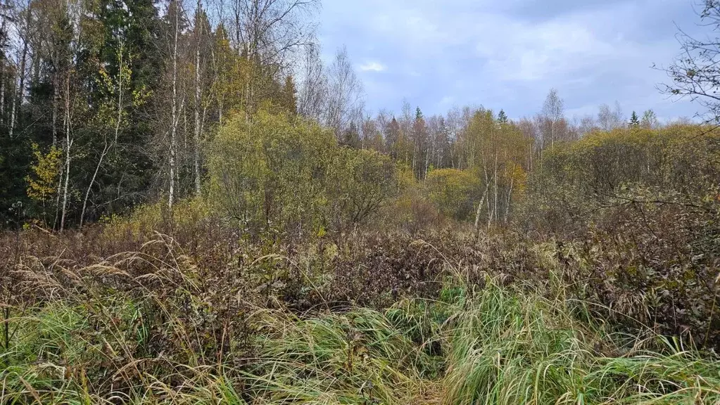 Участок в Московская область, Одинцовский городской округ, д. Завязово ... - Фото 2