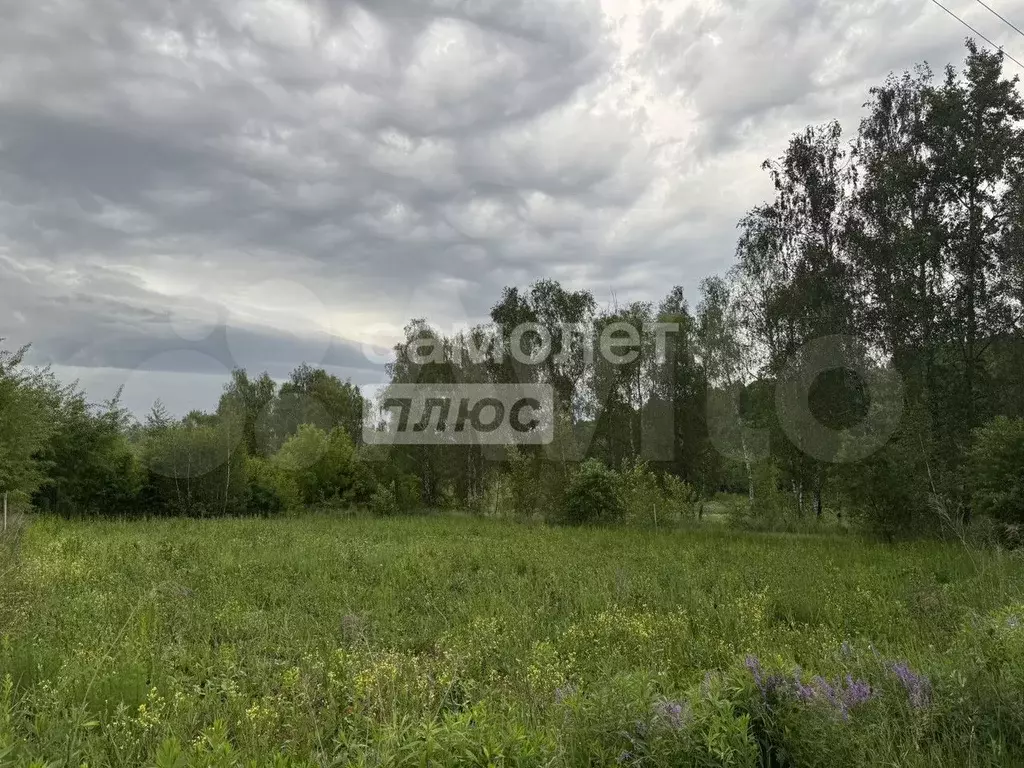 Участок 10 сот. (СНТ, ДНП) - Фото 0
