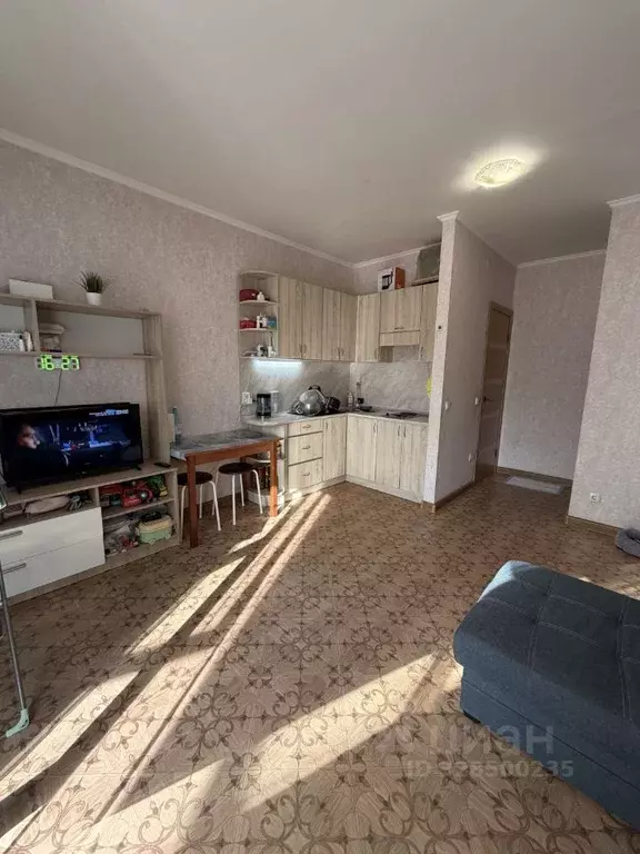 Студия Псковская область, Великие Луки ул. Гоголя, 15 (25.0 м) - Фото 1