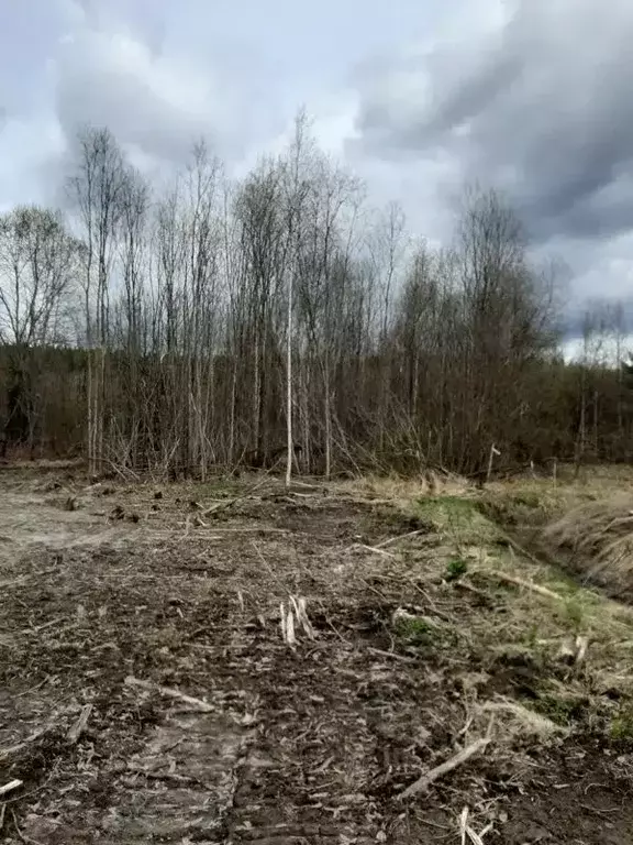 Участок в Карелия, Сортавальский муниципальный округ, пос. Хюмпеля ул. ... - Фото 0