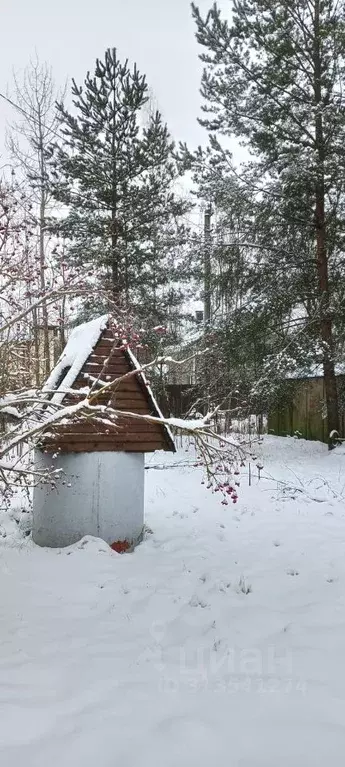 Участок в Санкт-Петербург, Санкт-Петербург, Павловск Павловское-2 СНТ, ... - Фото 1