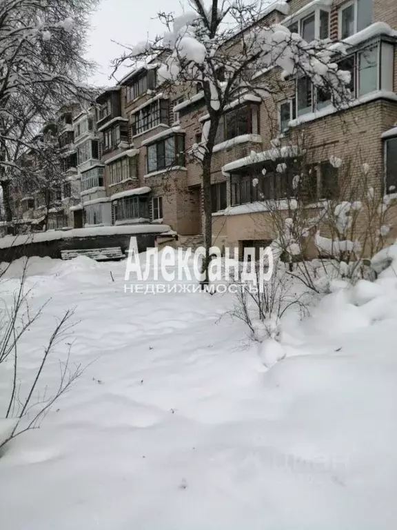 1-к кв. Ленинградская область, Тосненский район, Нурминское с/пос, д. ... - Фото 1