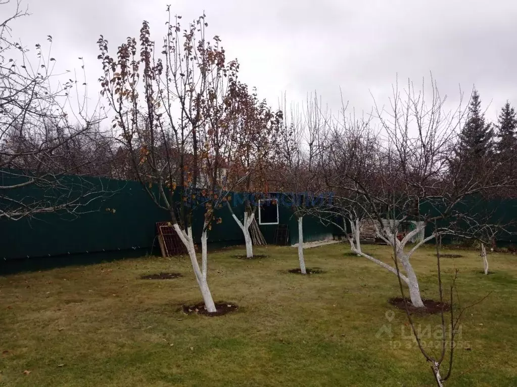 Коттедж в Нижегородская область, Нижний Новгород с. Новые Ключищи, ул. ... - Фото 2