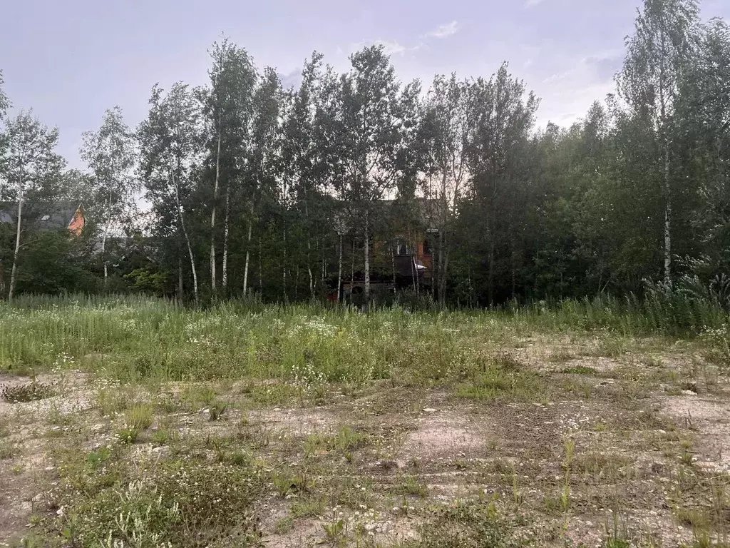 Участок в Московская область, Лосино-Петровский городской округ, д. ... - Фото 1