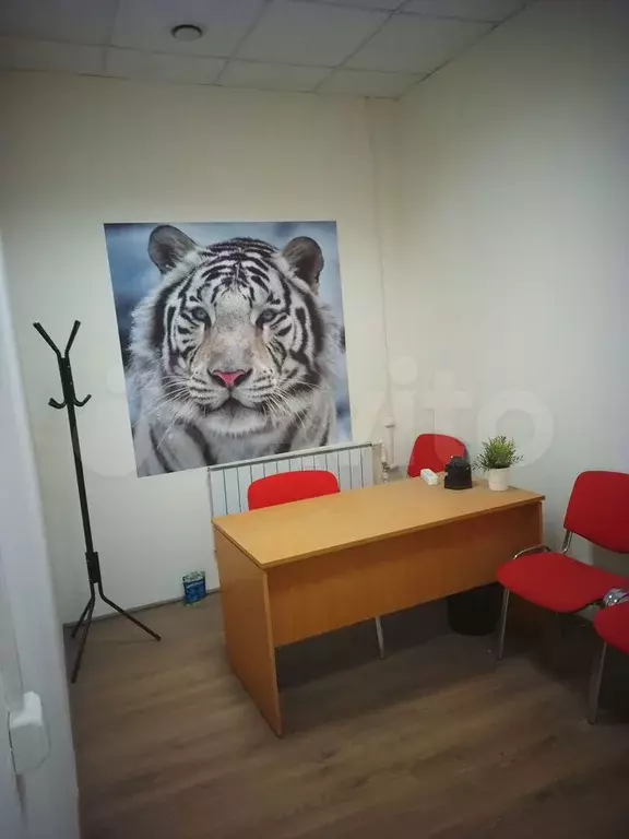 Офис, 10.7 м - Фото 0
