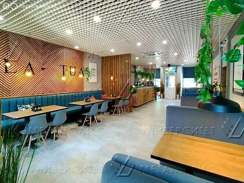 Помещение свободного назначения (367 м) - Фото 2