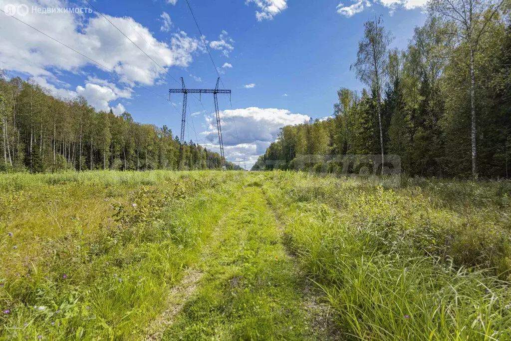 Участок в Наро-Фоминский городской округ, садовое товарищество ... - Фото 2