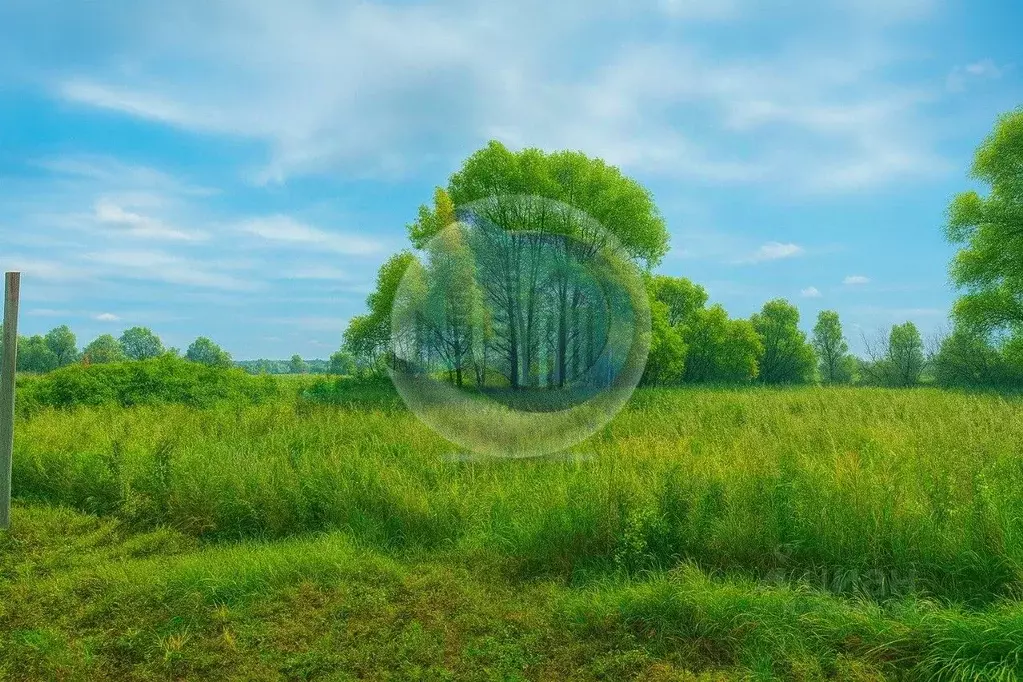 Участок в Московская область, Ленинский городской округ, с. Остров  ... - Фото 2