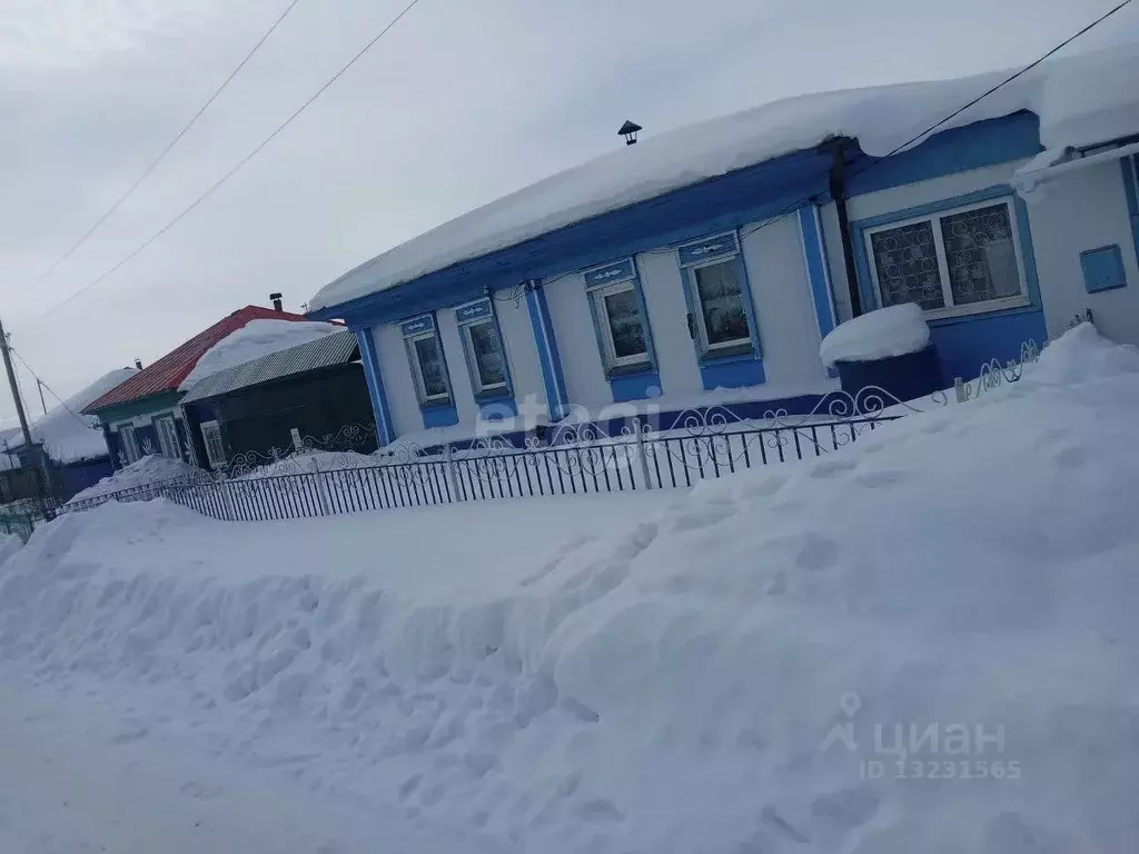 Дом в Челябинская область, Уйский район, Аминевское с/пос, д. ... - Фото 1