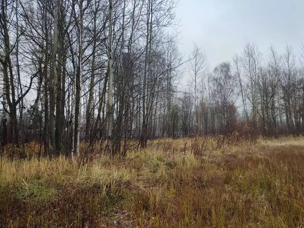 Участок в Московская область, Ликино-Дулево Орехово-Зуевский городской ... - Фото 1