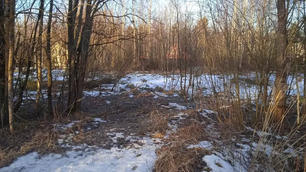 Участок в Новгородская область, Новгородский район, Бронницкое с/пос, ... - Фото 0