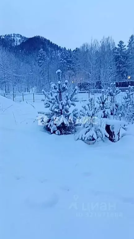 Участок в Алтай, Майминский район, Соузгинское с/пос, Катунь ДНП  ... - Фото 1