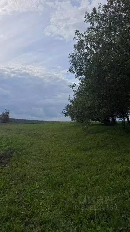 Участок в Марий Эл, Морки городское поселение, д. Балдырка ул. ... - Фото 1