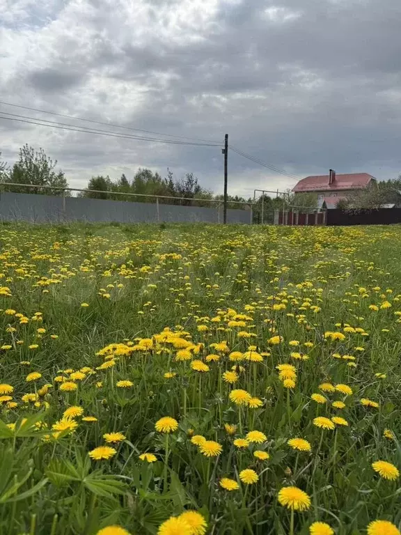 Участок 48 сот. (ИЖС) - Фото 0