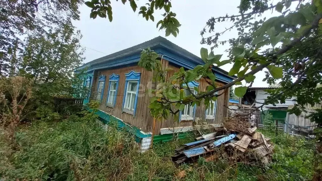 Дом в Башкортостан, Аургазинский район, с. Толбазы ул. Пушкина (30 м) - Фото 1