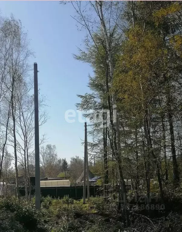 Участок в Сахалинская область, Южно-Сахалинск Труженик СНТ,  (8.0 ... - Фото 0