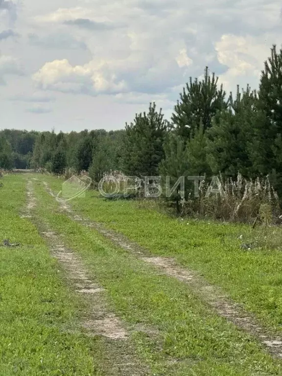 Участок в Тюменская область, Тюменский муниципальный округ, с. ... - Фото 1