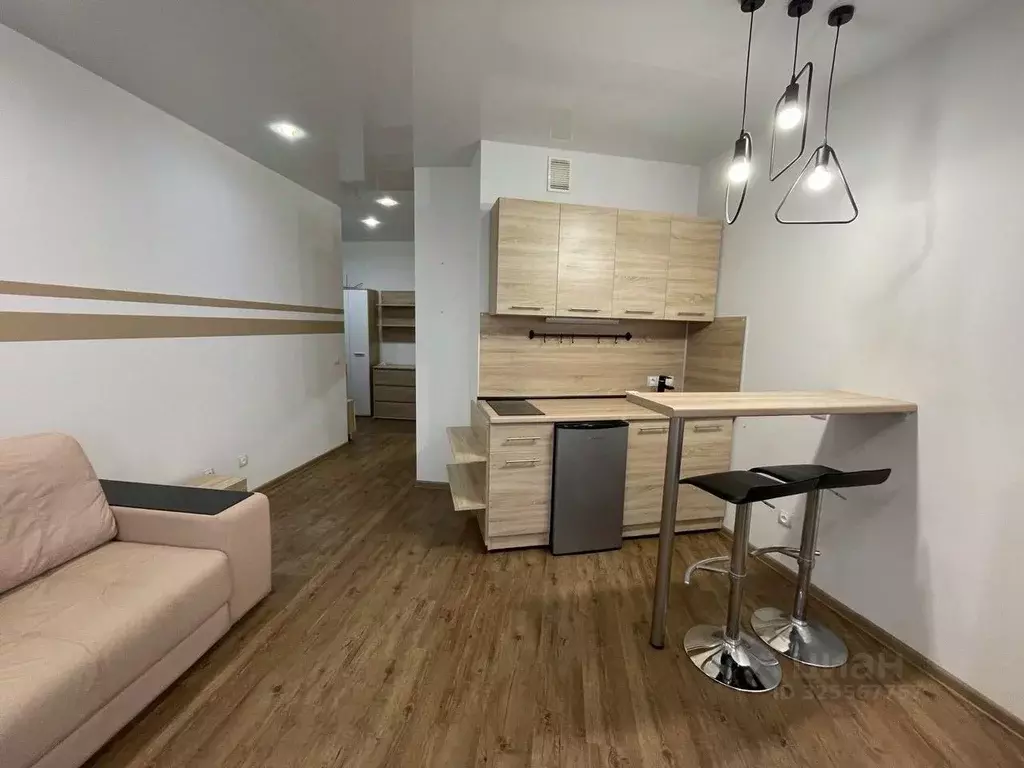 Студия Новосибирская область, Новосибирск ул. Николаева, 18 (29.0 м) - Фото 2