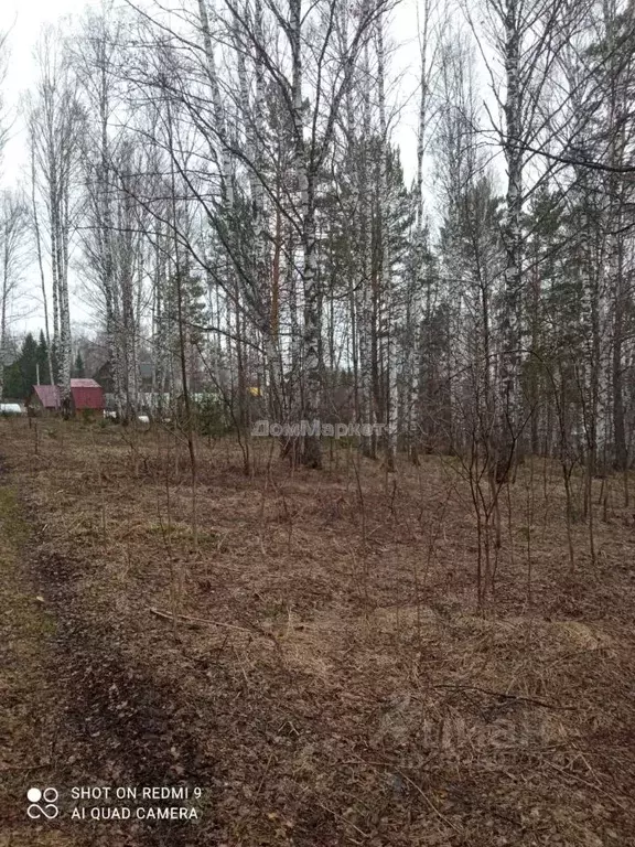 Участок в Кемеровская область, Прокопьевский район, пос. Большой ... - Фото 0