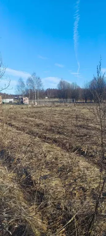 Участок в Владимирская область, Александровский муниципальный округ, ... - Фото 2