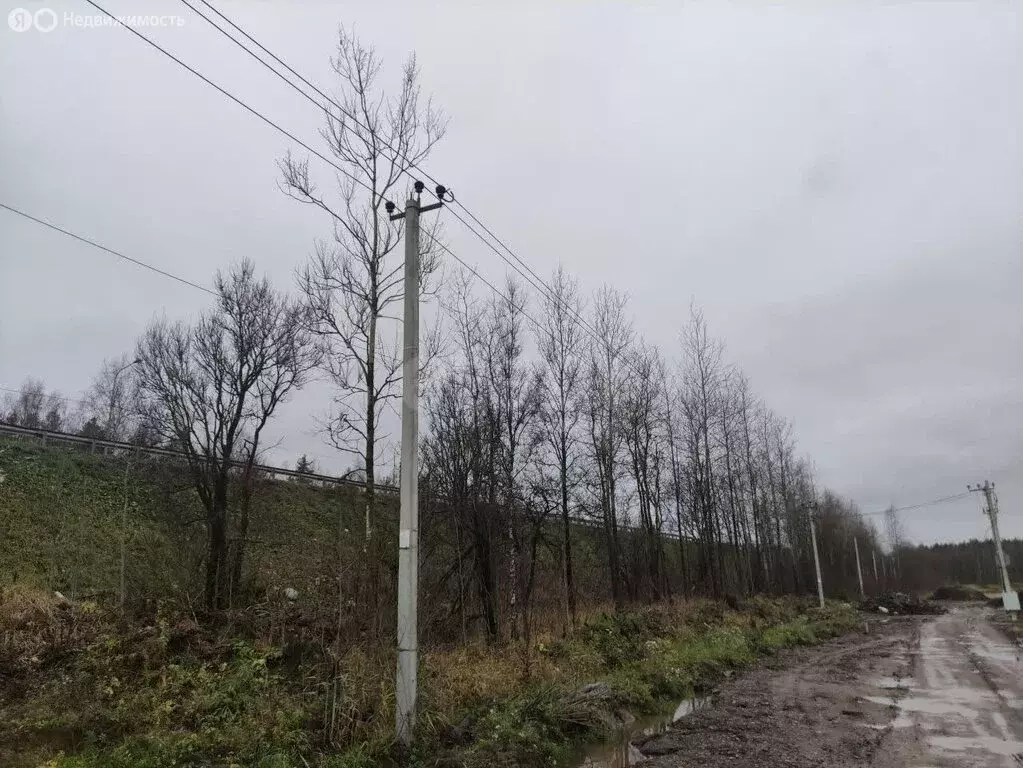 Участок в Колтушское городское поселение, Р-21 Кола, 21-й километр ... - Фото 1