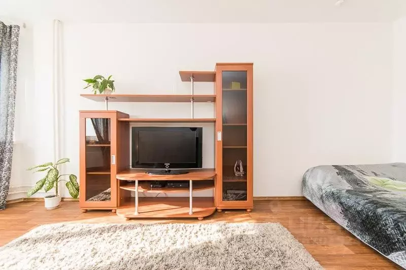 1-к кв. Нижегородская область, Нижний Новгород Мещерское Озеро ... - Фото 2