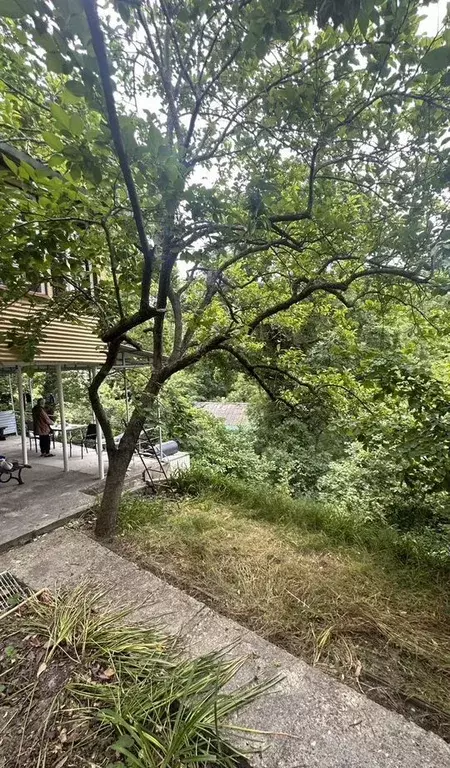 Дом в Краснодарский край, Туапсе Горка СНТ,  (50 м) - Фото 1