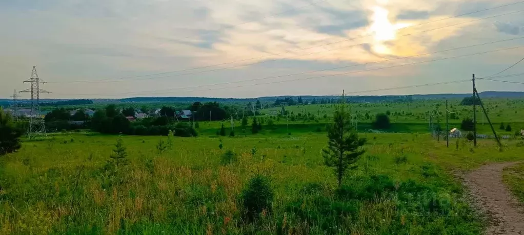 Участок в Пермский край, Пермский муниципальный округ, д. Аникино ул. ... - Фото 1