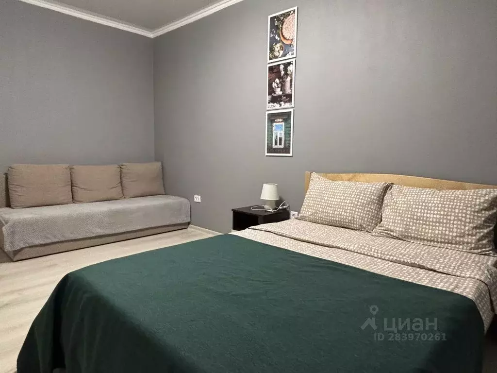 1-к кв. Краснодарский край, Краснодар Имени Петра Метальникова мкр, ... - Фото 2