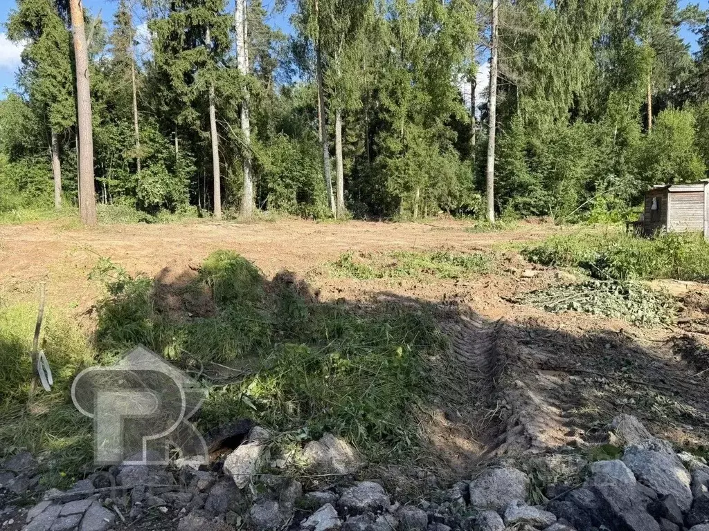 Участок в Московская область, Солнечногорск городской округ, Лесное ... - Фото 2