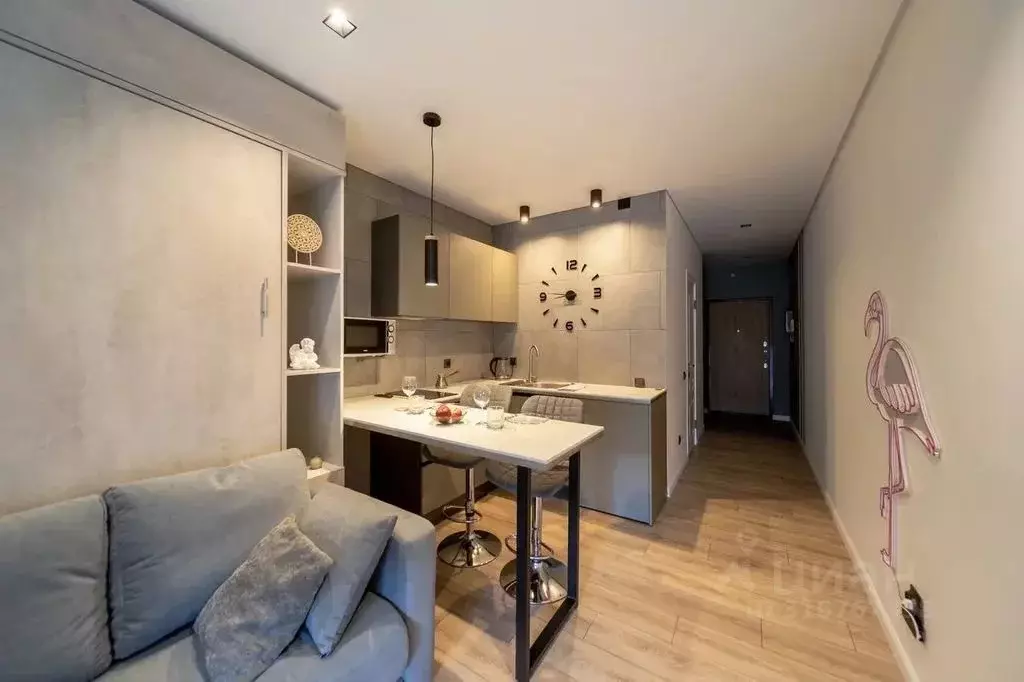 Студия Санкт-Петербург Богатырский просп., 2А (30.0 м) - Фото 0